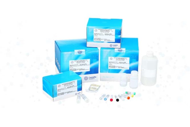 Test Kit Jingxin®fetal Chromosome Aneuploidy (t21, T18, T13) - CÔng Ty 